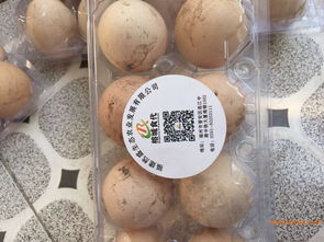 福州性價比高的農(nóng)副產(chǎn)品供應與配送全攻略