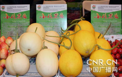 寧夏特色農(nóng)副產(chǎn)品 資源優(yōu)化成果贏得全球客商青睞