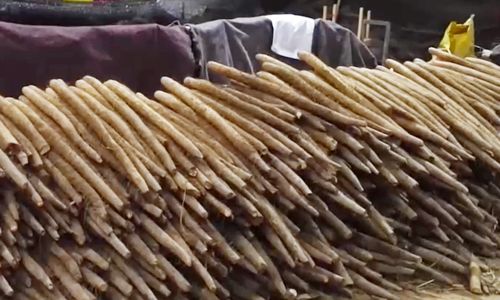 四川春節(jié)前農(nóng)副產(chǎn)品交易繁忙，市民“菜籃子”拎得穩(wěn)