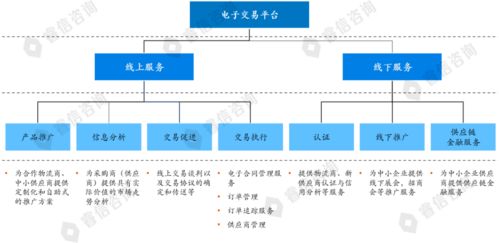 某電商公司戰(zhàn)略規(guī)劃項目案例 電子商務平臺的開發(fā)建設